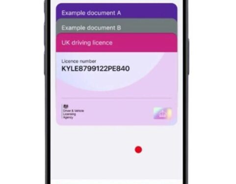 DVLA to roll out digital driving licences by end of year in major services overhaul