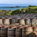 Scotch Whisky Association urges multi-year freeze on spirits duty ahead of autumn budget