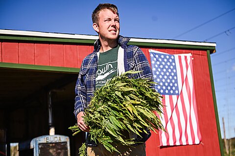 A Tale of Two Cannabinoids: Congress’s Protectionist Pivot and Policy Dissonance