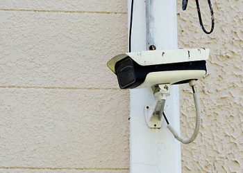 Williamson v. United States Brief: Ten Months of Warrantless Video Surveillance Violates the Fourth Amendment