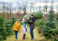 The Christmas Tree Tax