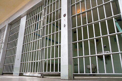 Singleton v. Hamm Brief: Federal Courthouses Should Hear Over-Detention Claims