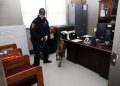 Johnson v. United States Brief: Police Dogs Can’t Sniff Under Apartment Doors Without a Warrant