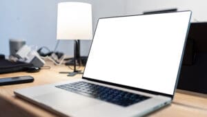 Banning WFH is lunacy, and the politicians out of touch enough to mandate it are too